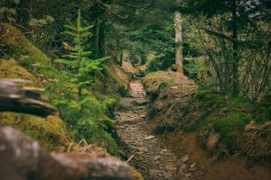 Your mood changes when you walk