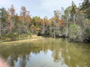 Your Mental Health benefits when you walk 32547